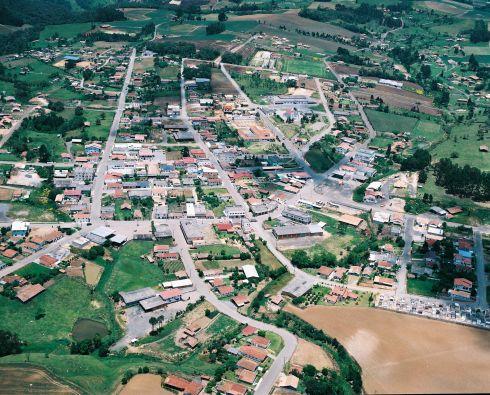 Imbuia Santa Catarina fonte: www.sintonia.fm.br